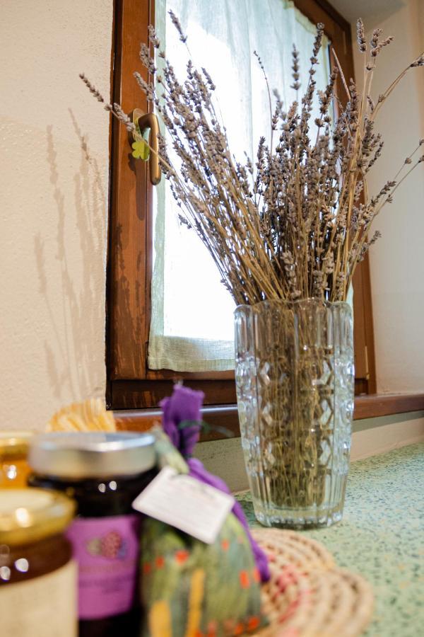B&B Casa Del Pietro Pieve San Giovanni エクステリア 写真