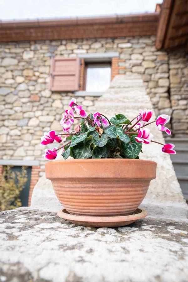 B&B Casa Del Pietro Pieve San Giovanni エクステリア 写真